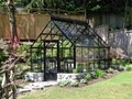 10  x 14   Black Cape Cod  Glass Greenhouse Kit 