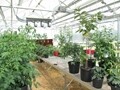 School Classrooms  Scientist Greenhouse Package