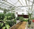 Grand A-Frame Teaching Greenhouse Package