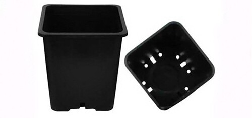Picture of Premium Square Plastic Pot- Black