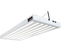 AgroBrite T5 216W 4' 6-Tube Fixture with Lamps