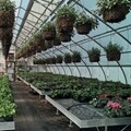 Commercial Stationary Greenhouse Benches