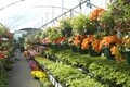 Garden-Mart  Retail Greenhouses