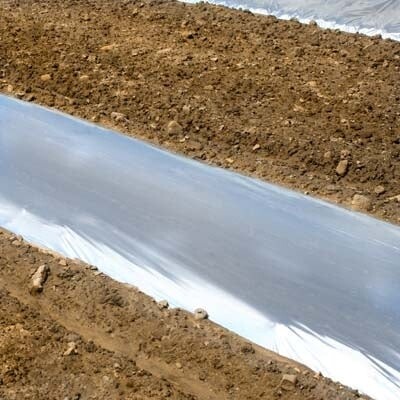 Solar Plastic Mulch Film - Gothic Arch Greenhouses|Gothic Arch Greenhouses