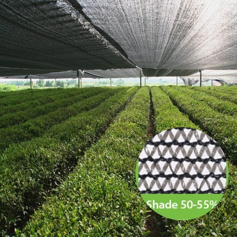 Grey Shade Cloths Gothic Arch GreenhousesGothic Arch