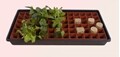 Terracotta Smart Tray 78-Cell