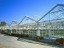 Picture of Production Greenhouses