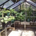 Picture of ED Backyard hobby Greenhouse Kits