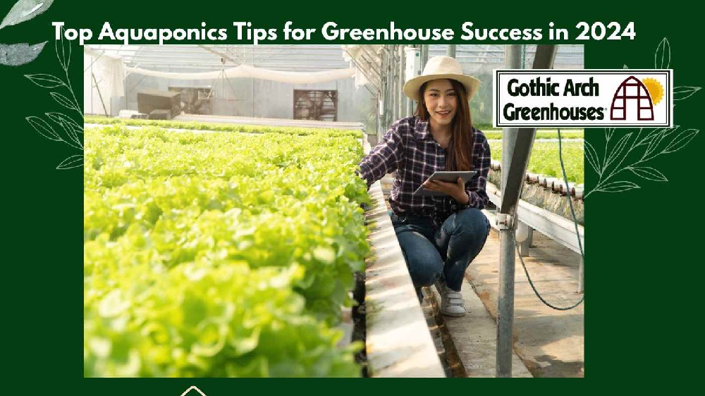 Aquaponics in Greenhouses