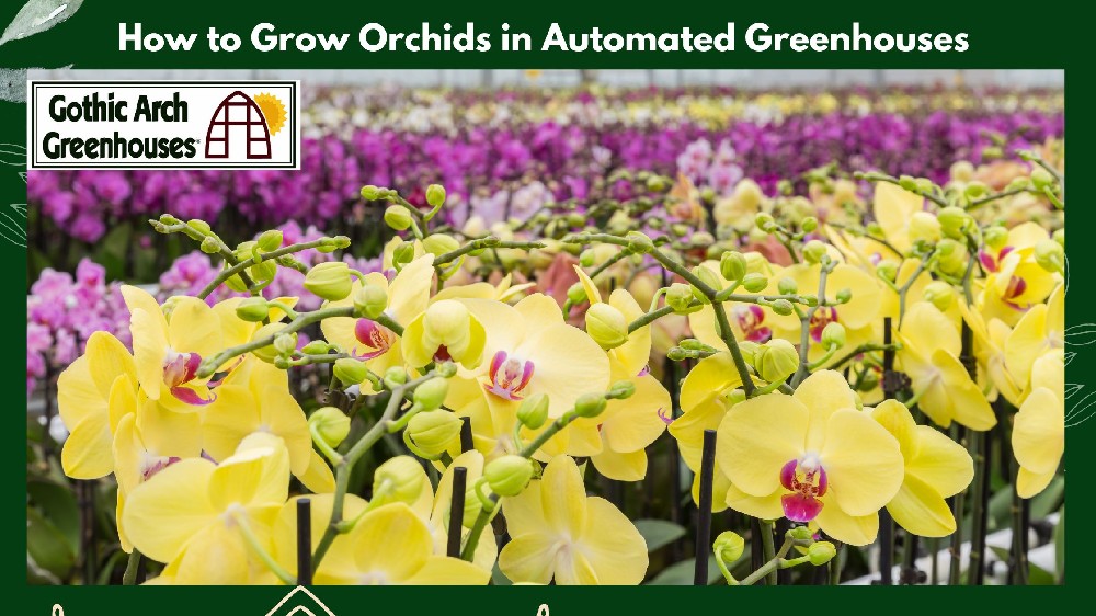  automated greenhouse with orchids, climate control, irrigation, and LED lighting