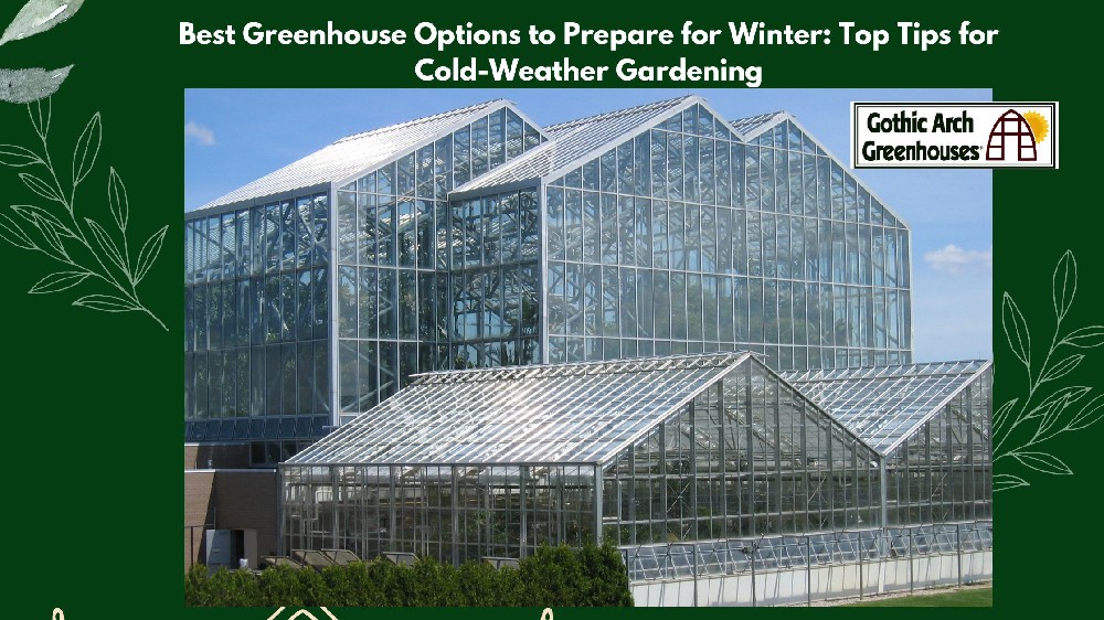 Best Greenhouse Options to Prepare for Winter