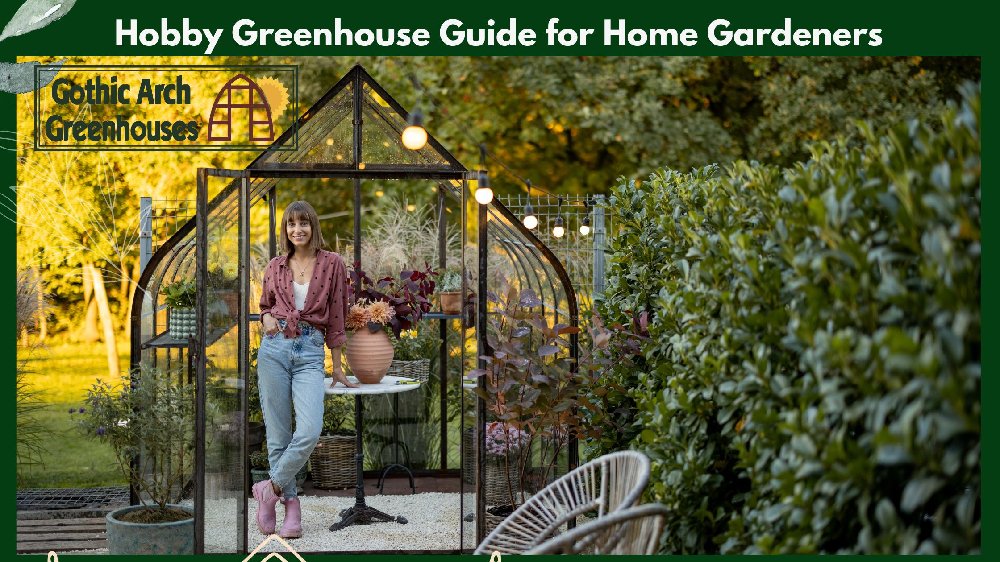 Beautiful backyard greenhouse with lush plants