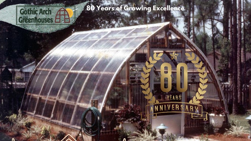 Built on Experience. Growing into the Future