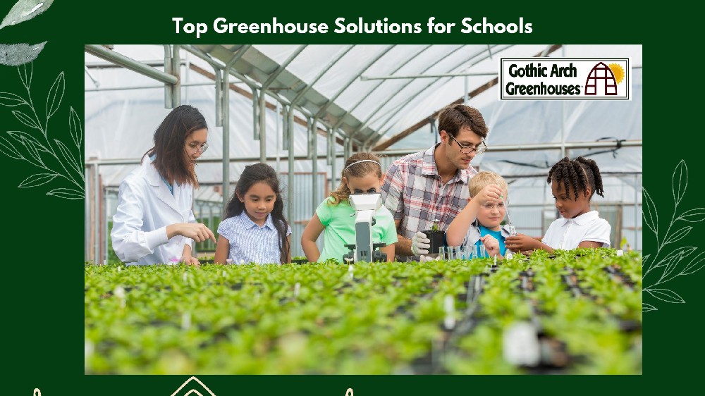 Top Greenhouse Solutions for Schools