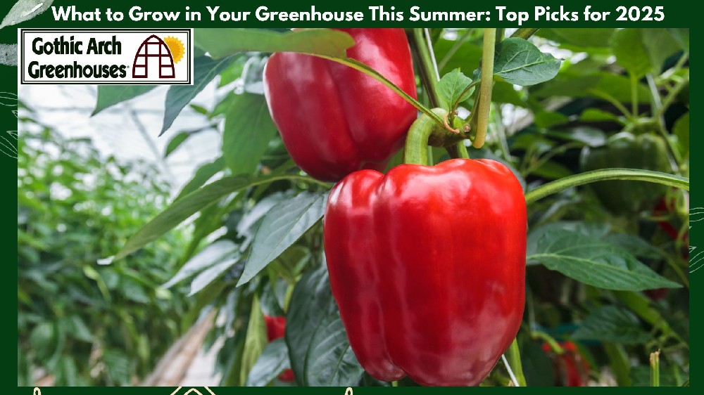 Interior of a modern summer greenhouse in 2025 filled with thriving tomatoes, cucumbers, strawberries, basil, and lemongrass, featuring glass panels, smart sensors, vertical growing systems, and sustainable gardening tools under bright sunlight.