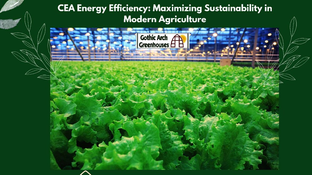 Maximizing Sustainability in Modern Agriculture