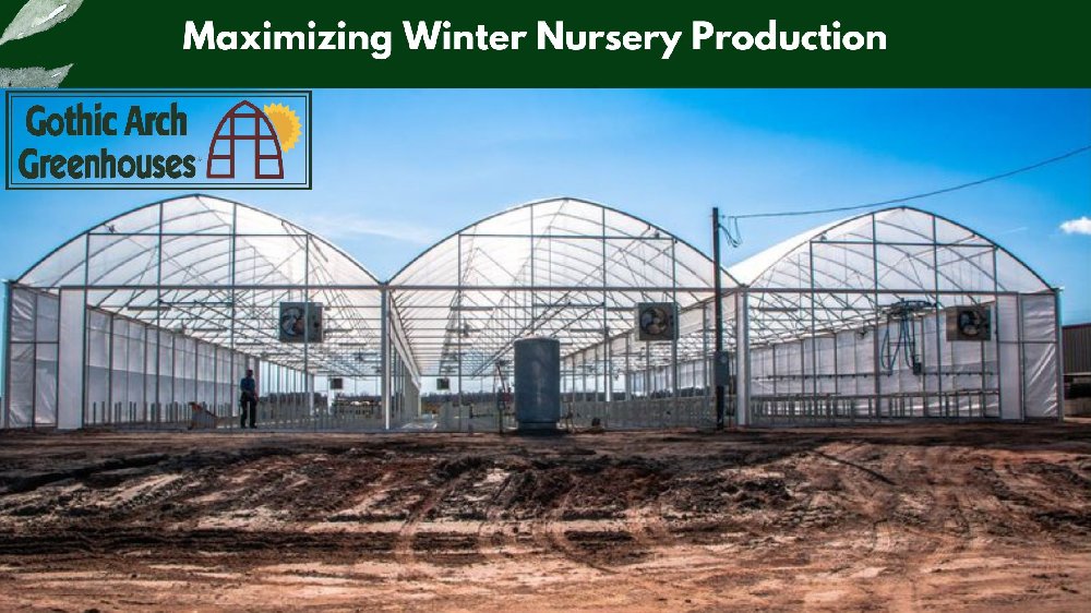 Sustainable winter farming inside commercial greenhouse at Wild Hope Farm