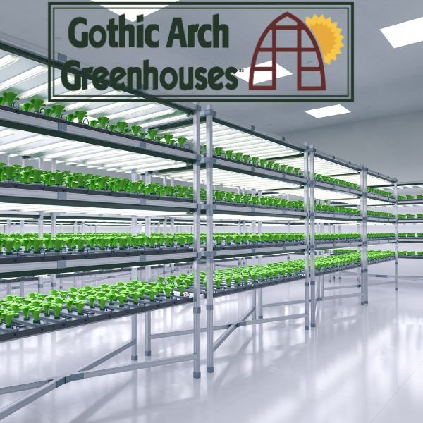 Trays of fresh microgreens—broccoli, radish, and sunflower—growing under LED lights in a climate-controlled hydroponic greenhouse.