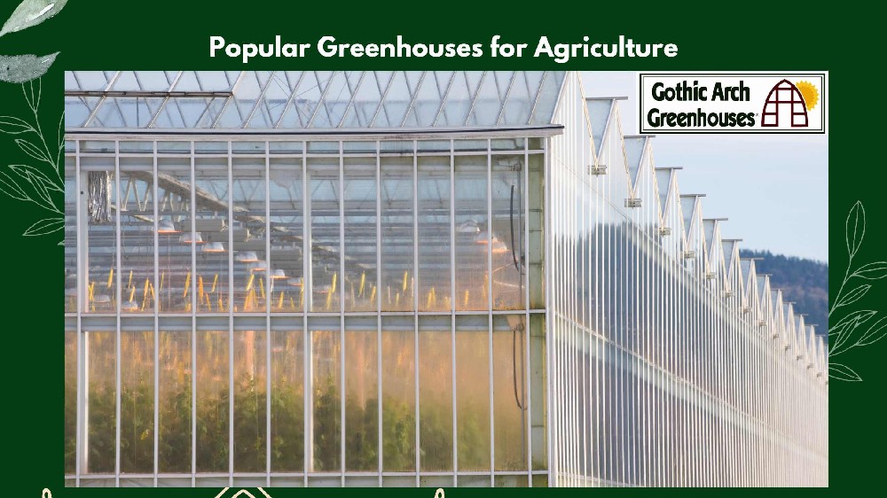 Popular Greenhouses for Agriculture