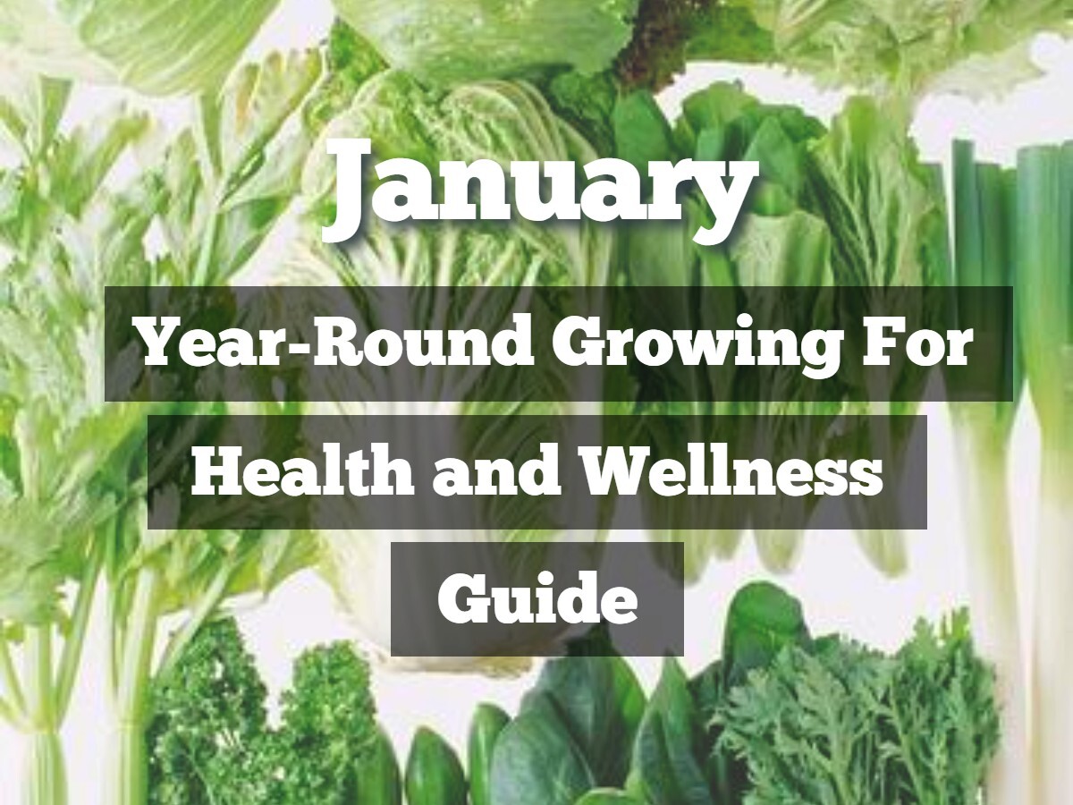 Year-Round Growing Guide, January